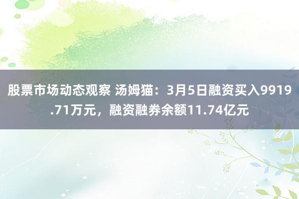 股票市场动态观察 汤姆猫：3月5日融资买入9919.71万元，融资融券余额11.74亿元