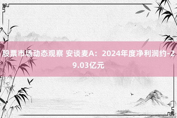 股票市场动态观察 安谈麦A：2024年度净利润约-29.03亿元