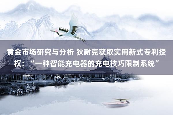 黄金市场研究与分析 狄耐克获取实用新式专利授权：“一种智能充电器的充电技巧限制系统”