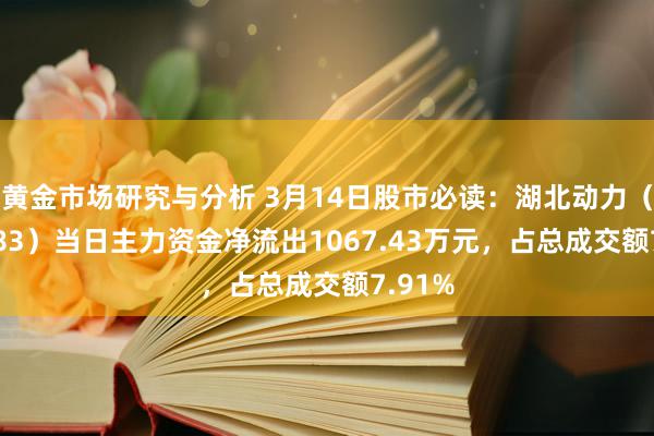 黄金市场研究与分析 3月14日股市必读：湖北动力（000883）当日主力资金净流出1067.43万元，占总成交额7.91%